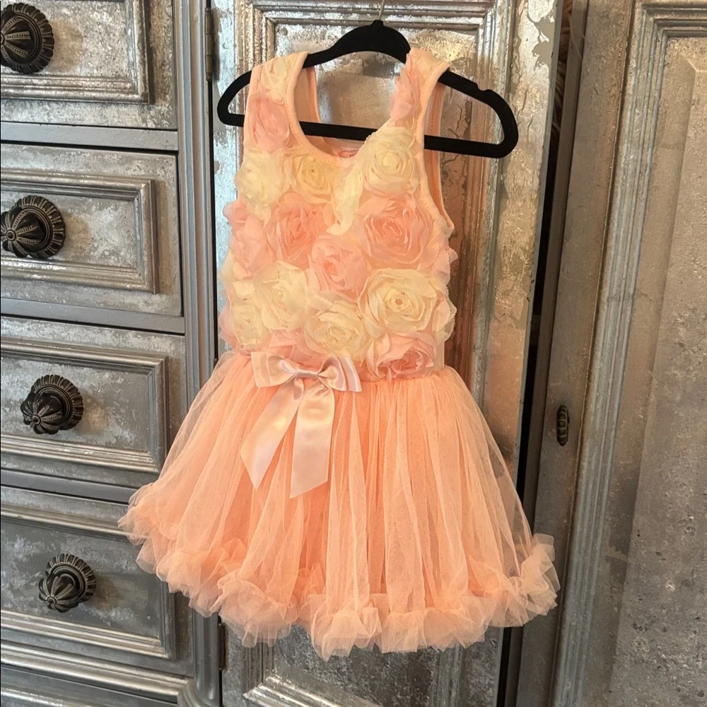 Dress fit for a little princess